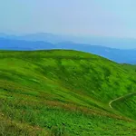 еко під полониною Sasivka