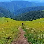 Hébergement de vacances еко під полониною Sasivka