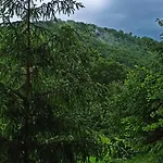 Hébergement de vacances еко під полониною