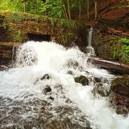 Ferienhaus еко під полониною Sasivka