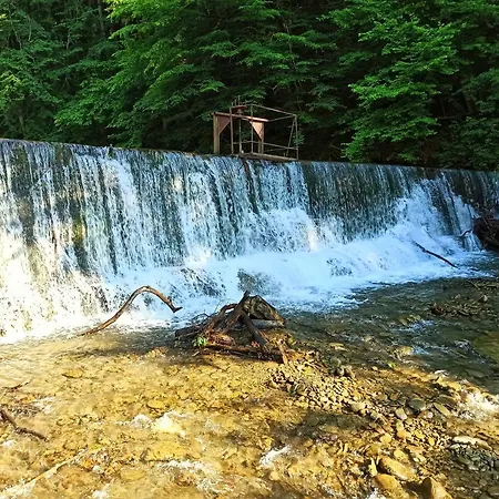 еко під полониною *