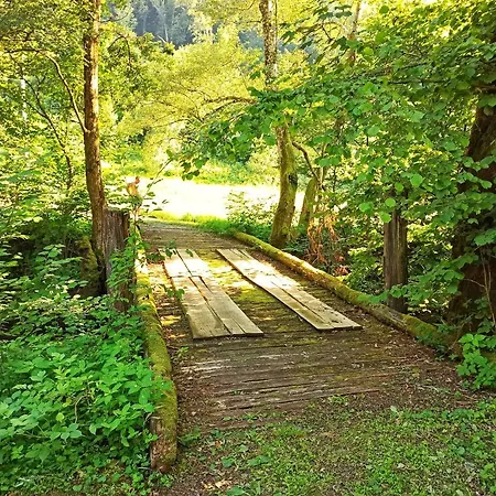 еко під полониною *