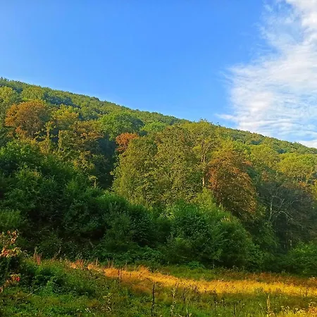 еко під полониною