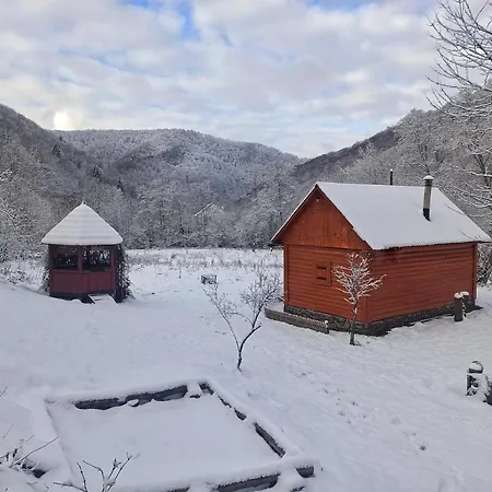 Holiday home еко під полониною Sasivka