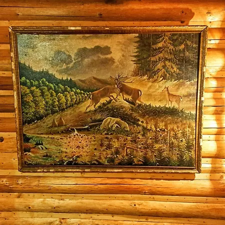 еко під полониною * Sasivka