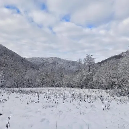 еко під полониною Ferienhaus Sasivka