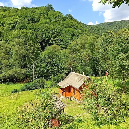 еко під полониною Hébergement de vacances Sasivka
