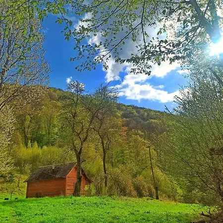 Holiday home еко під полониною *