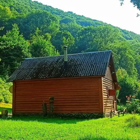 Holiday home еко під полониною Sasivka