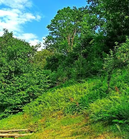 еко під полониною Hébergement de vacances