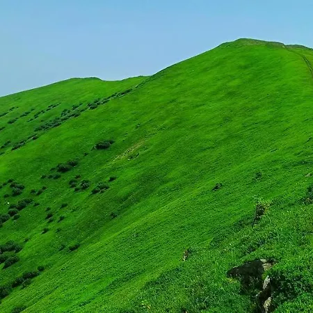 еко під полониною Ferienhaus