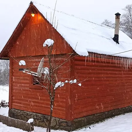 еко під полониною