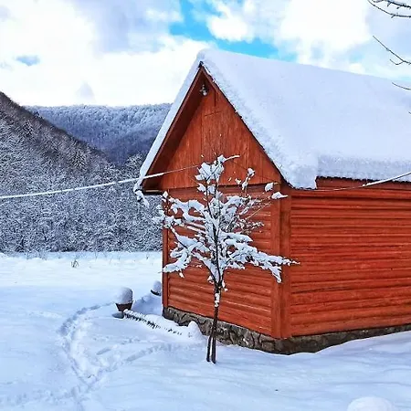 еко під полониною