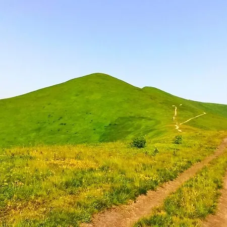 еко під полониною Holiday home Sasivka