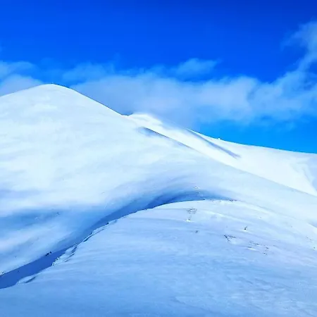 еко під полониною