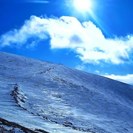 еко під полониною *