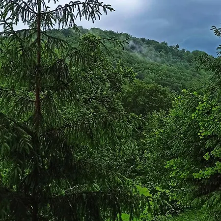 Holiday home еко під полониною