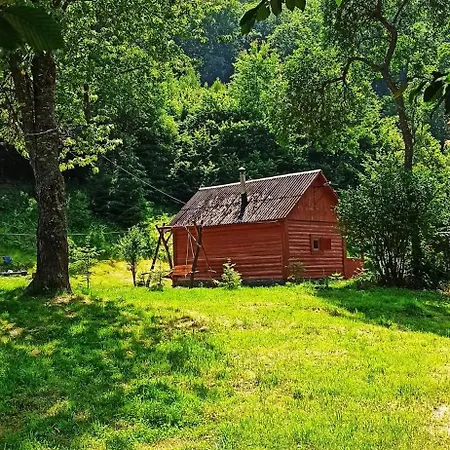 еко під полониною *