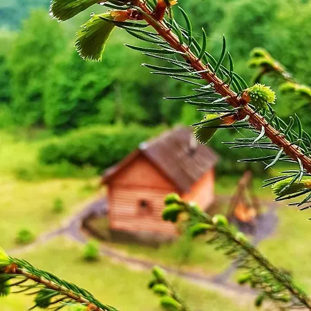 еко під полониною Holiday home *
