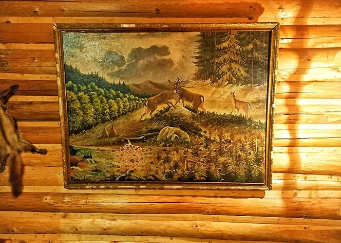 еко під полониною * Sasivka