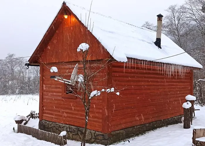 еко під полониною