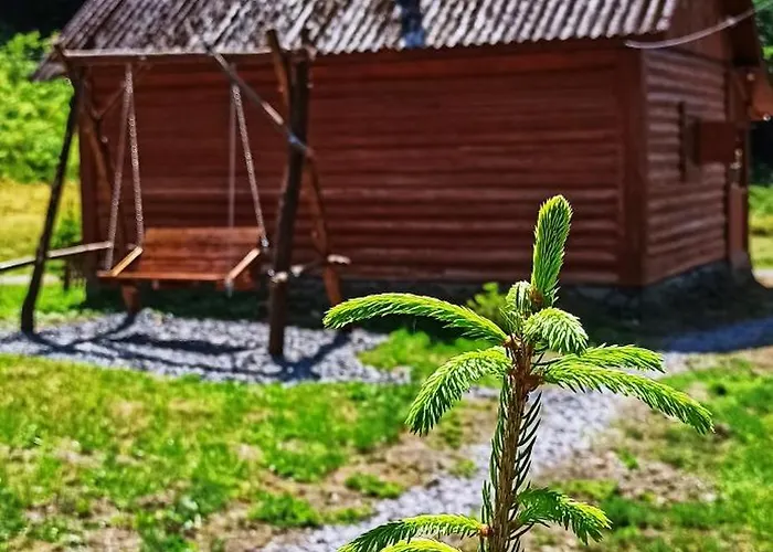 بيت للعطل еко під полониною